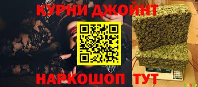 СК Гатчина