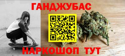 СК Гатчина
