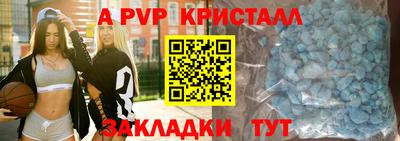 СК Гатчина