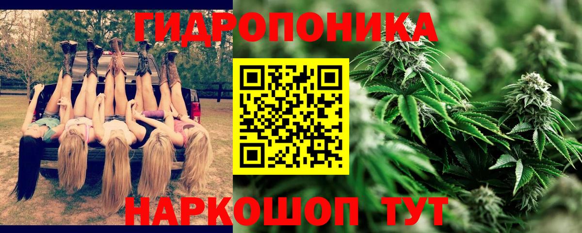 Бошки марихуана сатива Моздок